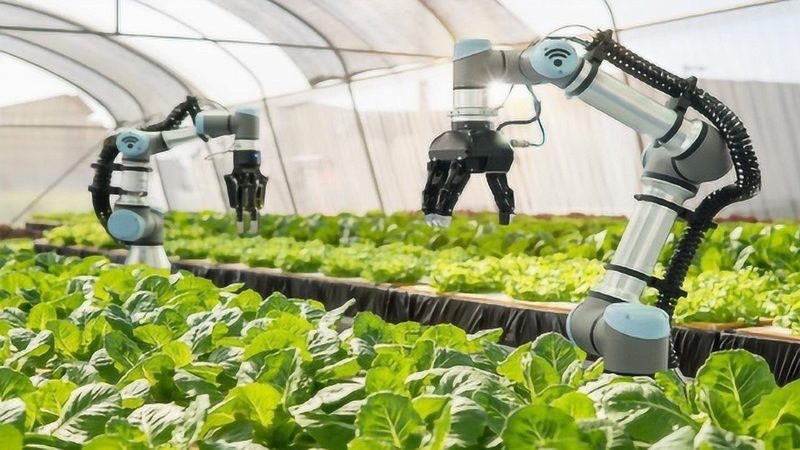 精密播种机维修保养方法：保障播种质量的关键